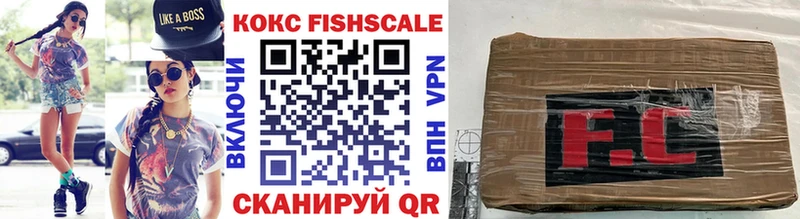 Купить закладки  Морозовск  Cocaine Fish Scale 